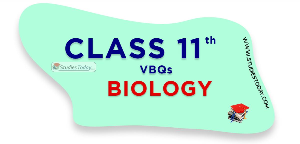 CBSE Class 11 Biology VBQs