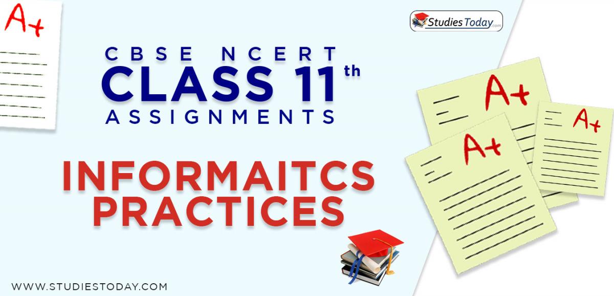 CBSE NCERT Assignments for Class 11 Informatics Practices