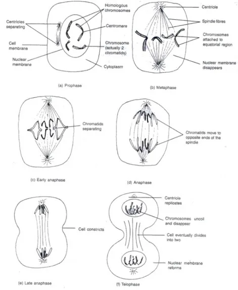 Diagram Q5
