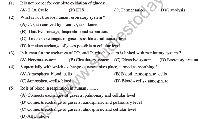 NEET Biology Breathing and Exchange of Gases MCQs Set A