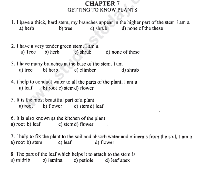 CBSE Class 6 Science Getting to Know Plants MCQs Set C
