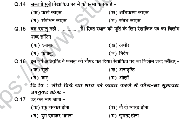 CBSE Class 9 PSA Hindi language MCQs-2
