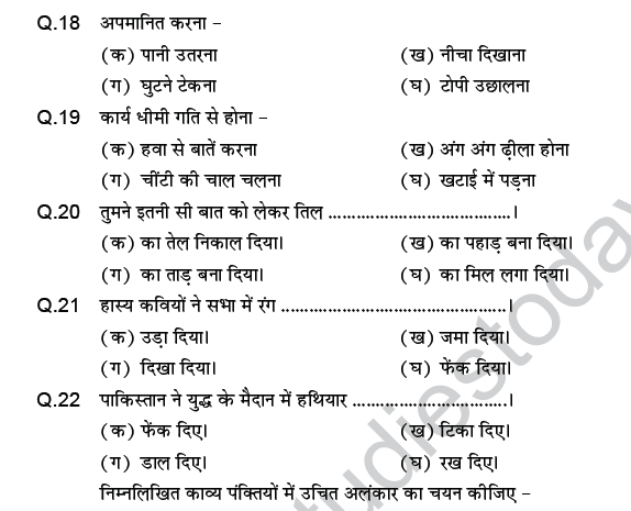 CBSE Class 9 PSA Hindi language MCQs-3