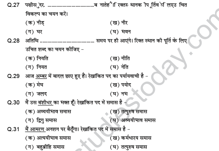 CBSE Class 9 PSA Hindi language MCQs-5