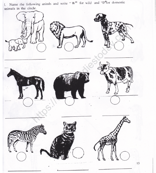 CBSE Class 1 EVS Worksheet - Animals Around Us (1) 2