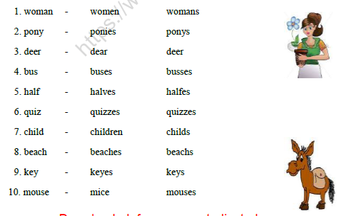 CBSE Class 2 English Practice Worksheets (114) - Singular Nouns 2