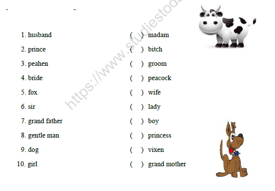 CBSE Class 2 English Practice Worksheets (114) - Singular Nouns 4