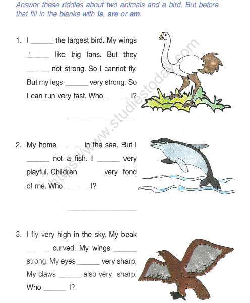 CBSE Class 2 English Practice Worksheets (69) - Grammer Concept