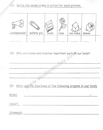 CBSE Class 2 Revision Worksheets (3) 2