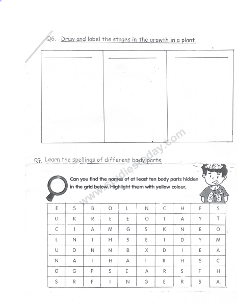 CBSE Class 2 Revision Worksheets (3) 3