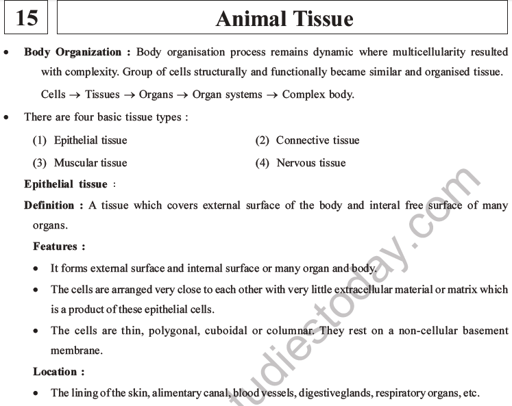 NEET Biology Animal Tissue MCQs Set A