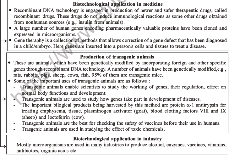 NEET Biology Biotechnology and Its Applications MCQs Set B-21