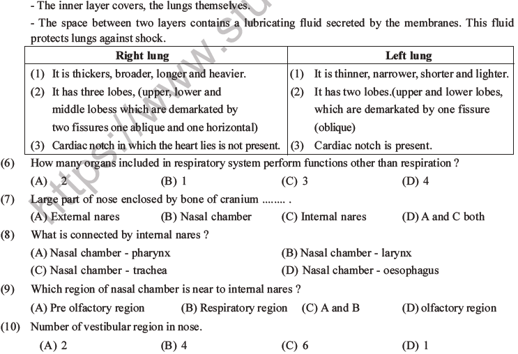 NEET Biology Breathing and Exchange of Gases MCQs Set B-2