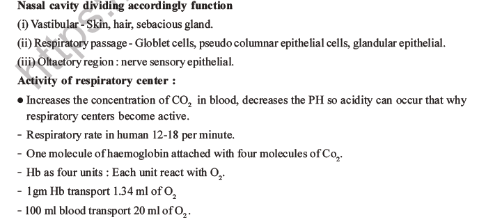 NEET Biology Breathing and Exchange of Gases MCQs Set B-31