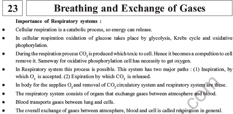 NEET Biology Breathing and Exchange of Gases MCQs Set B
