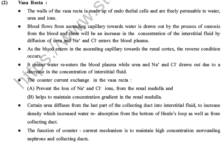NEET Biology Excretory Products and Their Elimination MCQs Set B-18