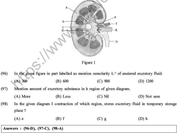 NEET Biology Excretory Products and Their Elimination MCQs Set B-39