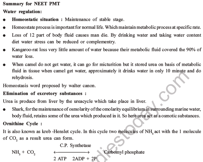 NEET Biology Excretory Products and Their Elimination MCQs Set B-42