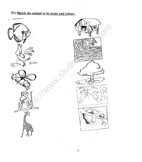 CBSE Class 2 EVS Practice Worksheets (10)-Animals 1