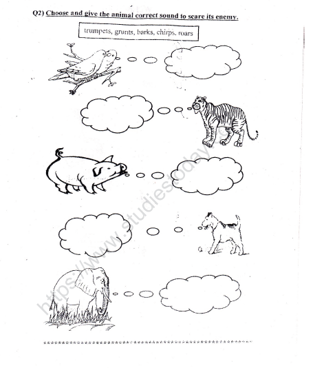 CBSE Class 2 EVS Practice Worksheets (10)-Animals 2