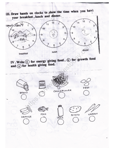 CBSE Class 2 EVS Practice Worksheets (20)-Our Food (2) 2