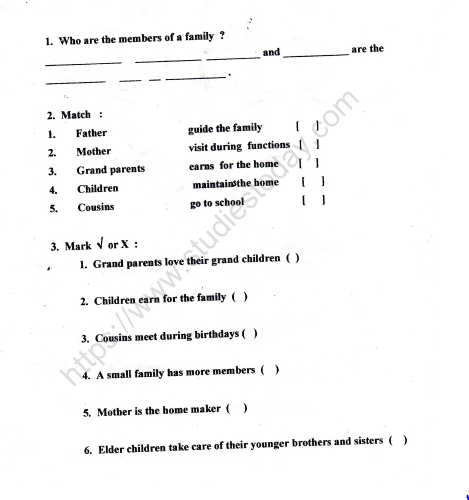 CBSE Class 2 EVS Practice Worksheets (22)-My Family 3
