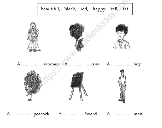 CBSE Class 3 English Practice Worksheets (27)-Nina & the Baby Sparrows 5