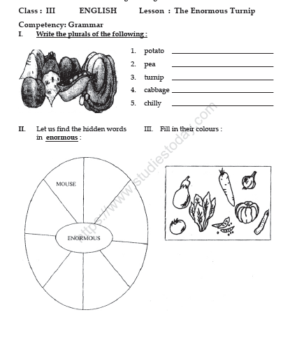 CBSE Class 3 English Practice Worksheets (30)-The Enormous Turnip 2