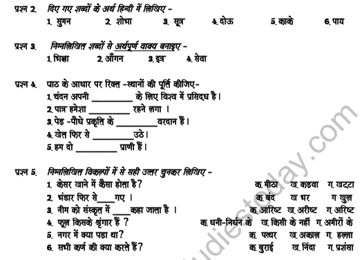 CBSE Class 5 Hindi Question Paper Set Y Solved 2