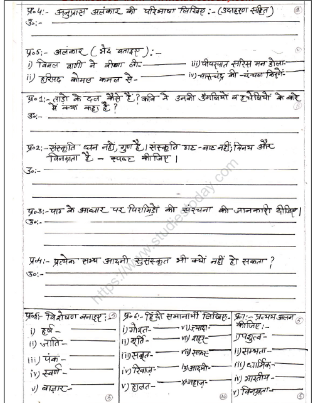 CBSE Class 8 Hindi Sample Paper Set T