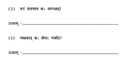 CBSE Class 8 Sanskrit Sample Paper Set G