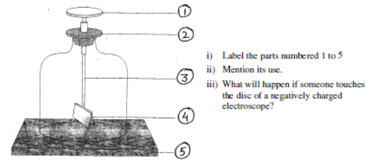 CBSE Class 8 Science Sample Paper Set W