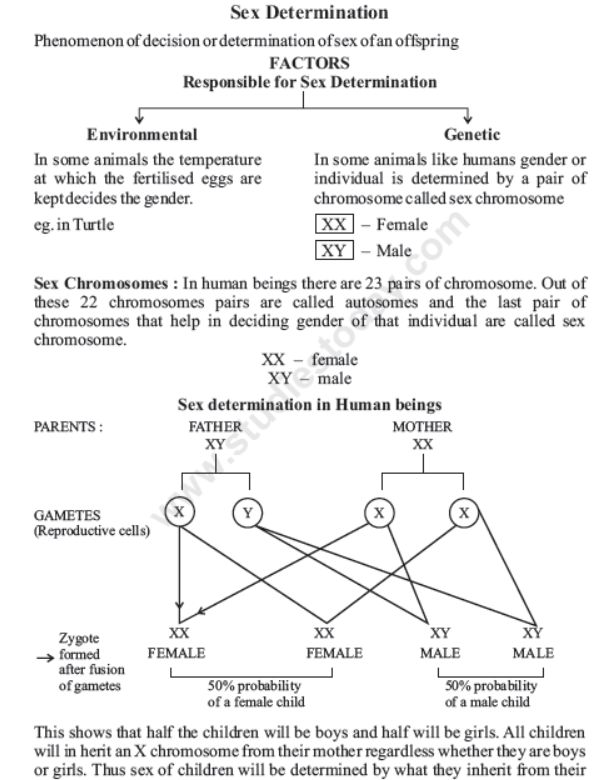 CBSE Class 10 Science Heredity and Evolution
