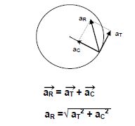 CBSE Class 11 Physics Circular Motion Notes