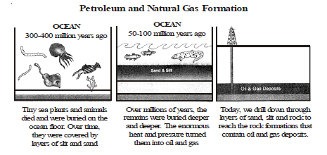 CBSE Class 8 Science Coal and Petroleum Chapter Notes_2