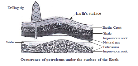 CBSE Class 8 Science Coal and Petroleum Chapter Notes_3