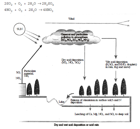 CBSE Class 8 Science Pollution Chapter Notes_2