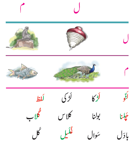 NCERT Class 1 Urdu Ibtedai Chapter 16