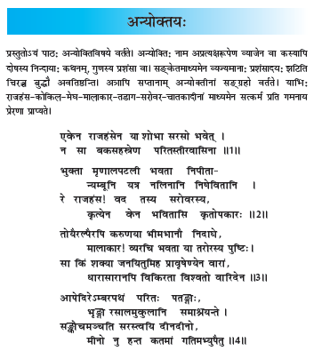 NCERT Class 10 Sanskrit Shemushi Chapter 10 Anyokatya