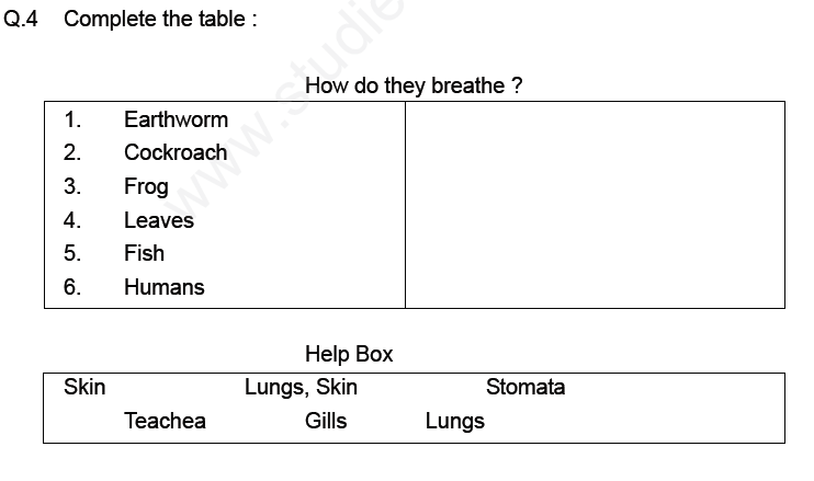 Respiration in Organisms