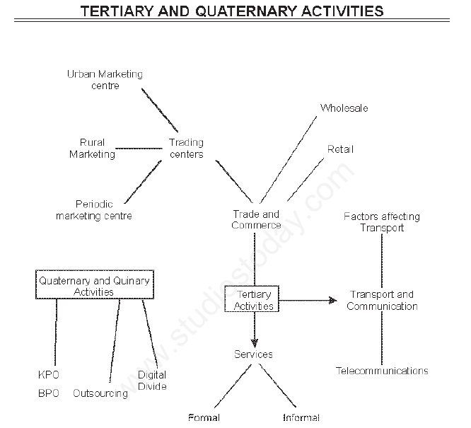 Tertiary and Quaternary Activities
