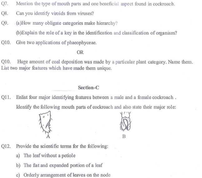 CBSE Class 11 Biology Sample Paper Set 1