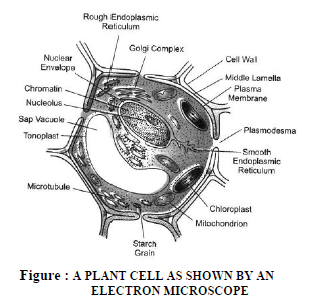 CBSE Class 9 Science The Cell Exam Notes