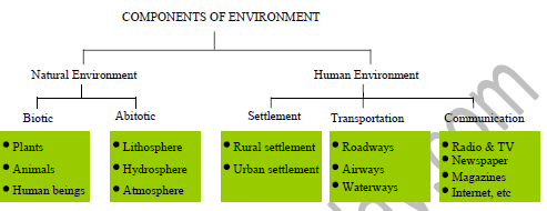 Class 7 Social Science Our Environment Exam Notes