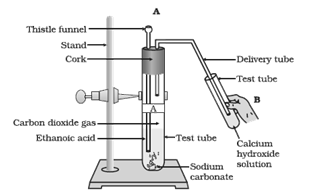 NCERT Exemplar Solutions Class 10 Science Carbon and its Compounds