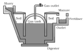 NCERT Exemplar Solutions Class 10 Science Sources of Energy