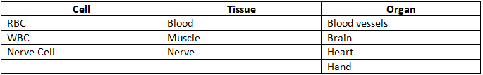 NCERT Exemplar Solutions Class 8 Science Cell Structure and Functions