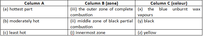 NCERT Exemplar Solutions Class 8 Science Combustion and Flame