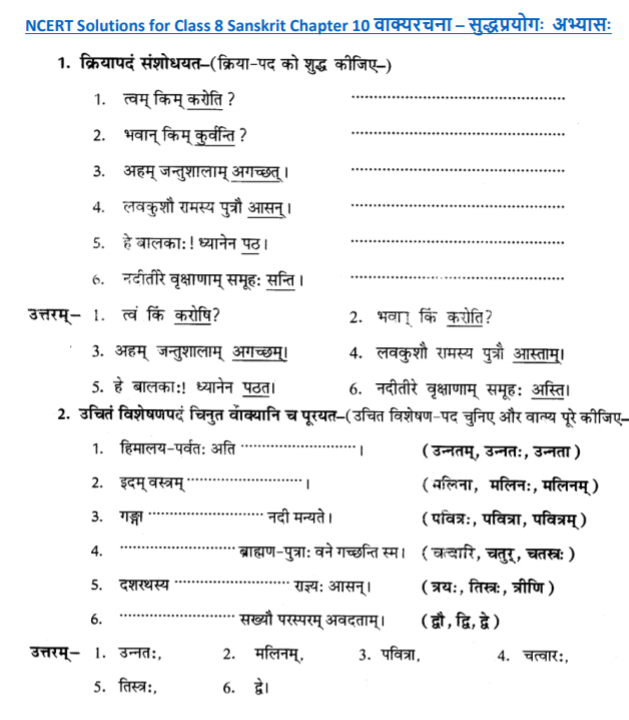 class_8_Sanskrit_solutions_10