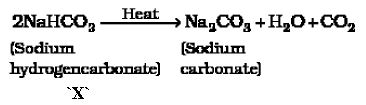 CBSE Class 10 Science HOTs Question Acids Bases And Salts